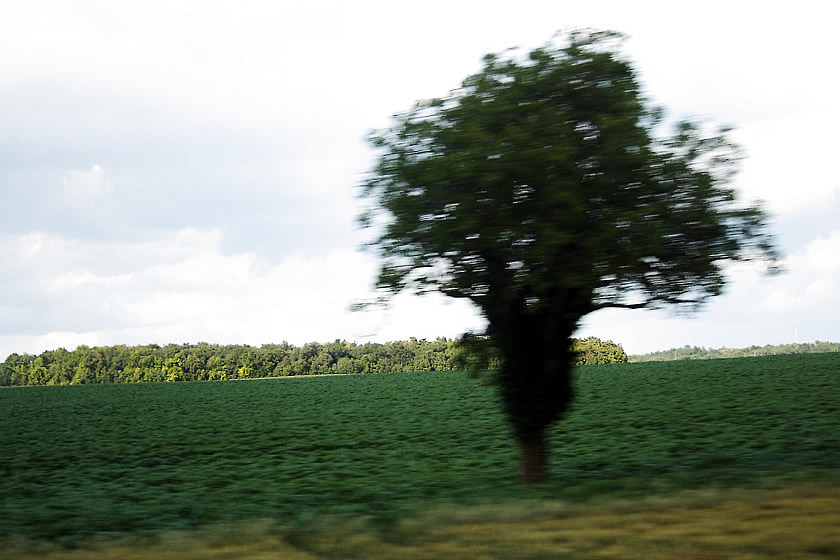 frankreich