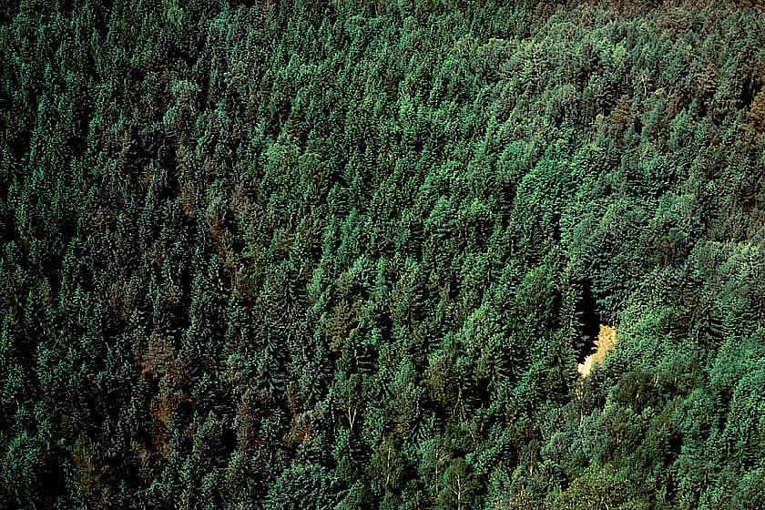 sächsische schweiz